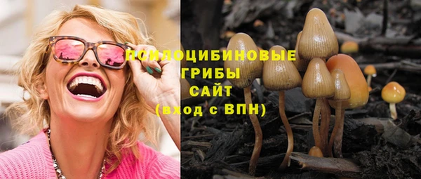 прущие крисы Абдулино